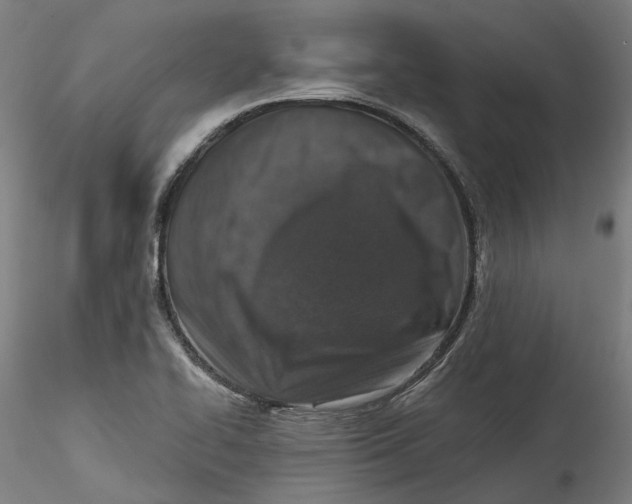 X0000115551414200911271423