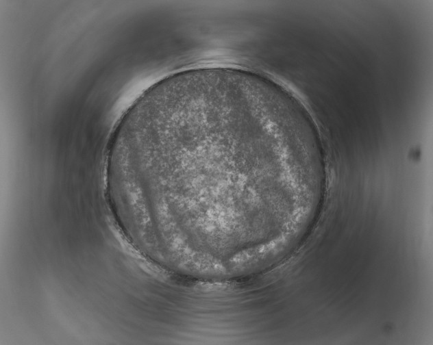 X0000115551415200911271423