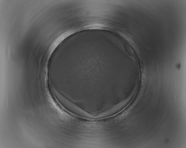 X0000115551418200911271423