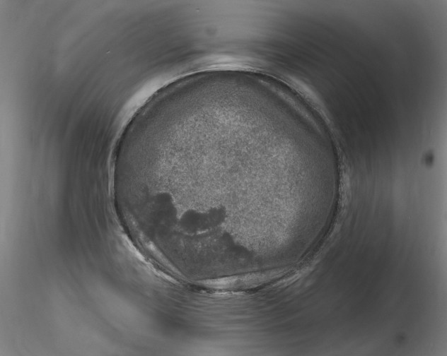 X0000115551419200911271423