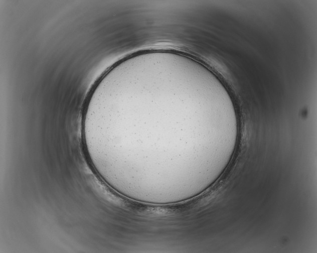 X0000115551420200911271423