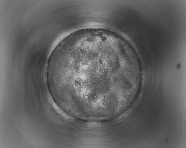 X0000115551421200911271423