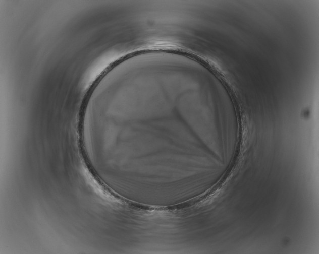 X0000115551422200911271423