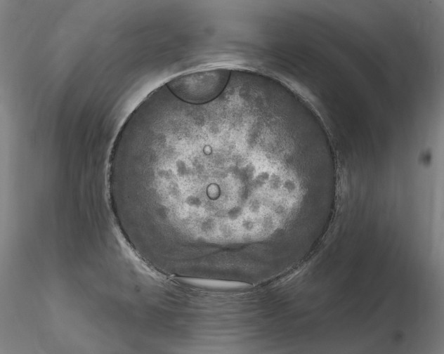 X0000115551423200911271423