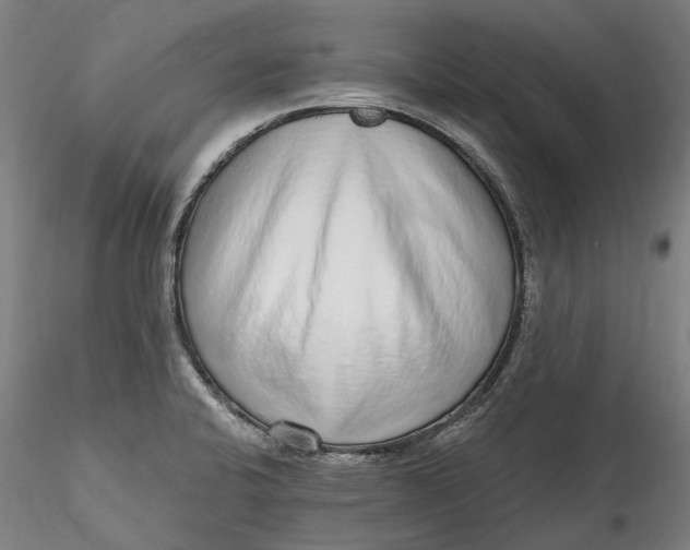 X0000115551424200911271423