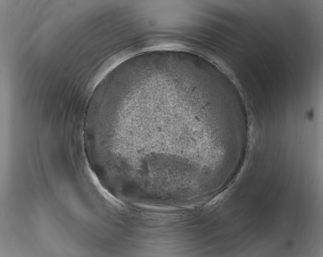 X0000115551425200911271423