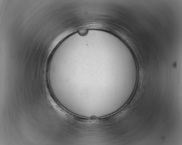 X0000115551426200911271423