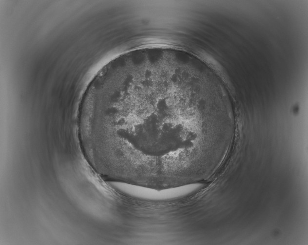 X0000115551427200911271423