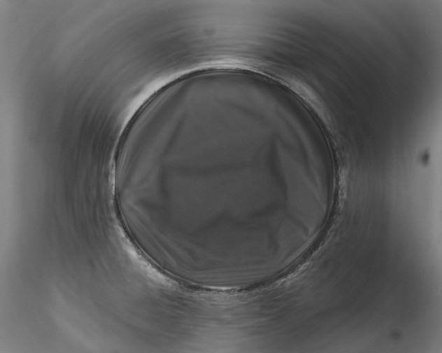 X0000115551428200911271423