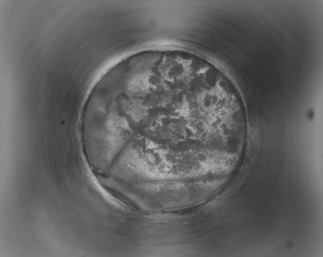 X0000115551429200911271423