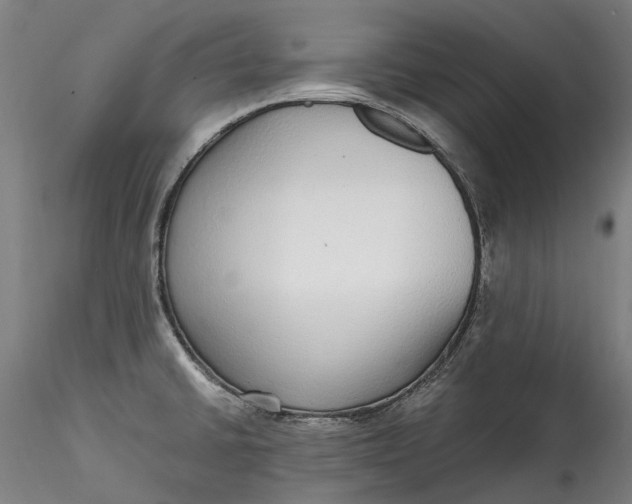 X0000115551430200911271423