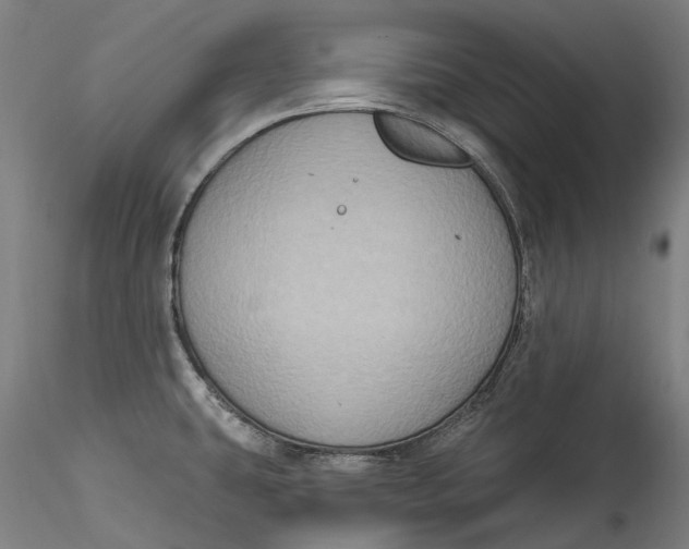 X0000115551431200911271423