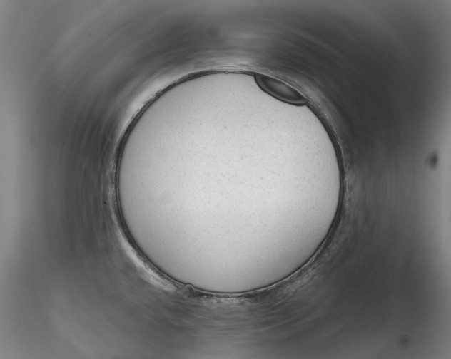 X0000115551432200911271423