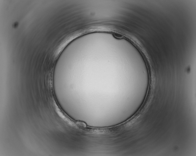 X0000115551433200911271423