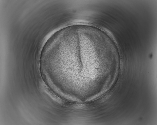 X0000115551435200911271423