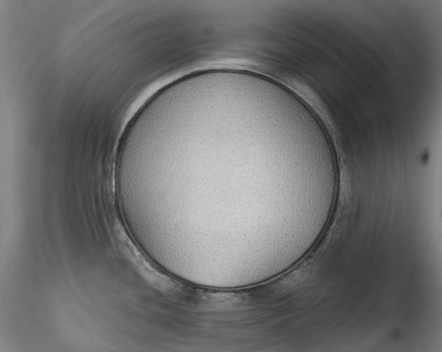 X0000115551436200911271423