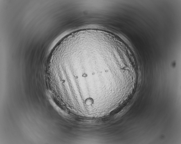 X0000115551438200911271423