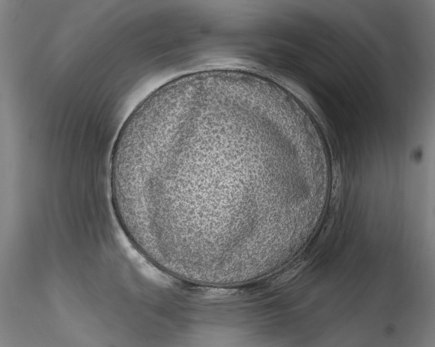 X0000115551439200911271423