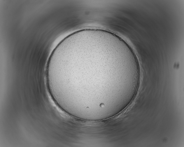 X0000115551440200911271423