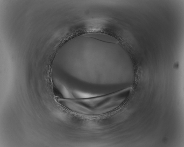 X0000115551441200911271422