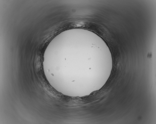 X0000115551442200911271422