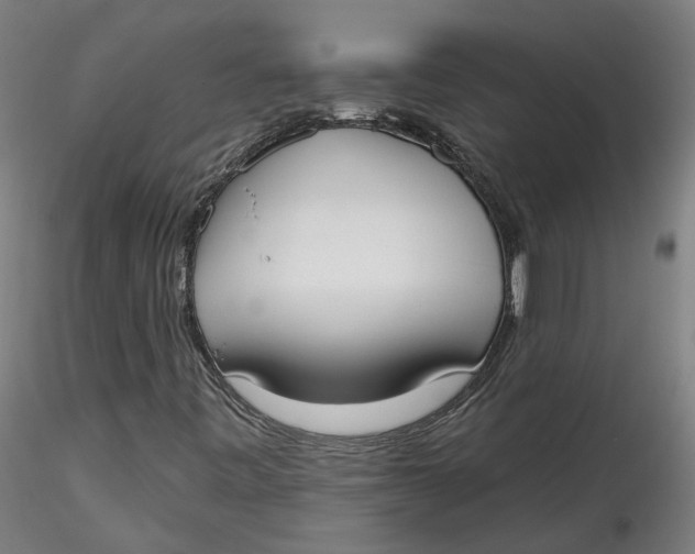 X0000115551443200911271422