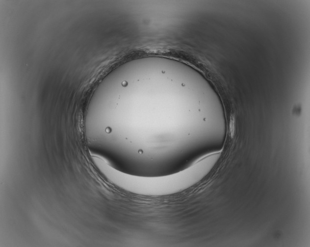 X0000115551444200911271422