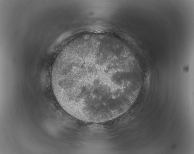 X0000115551446200911271422