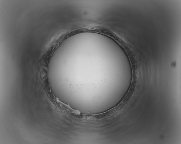 X0000115551447200911271422