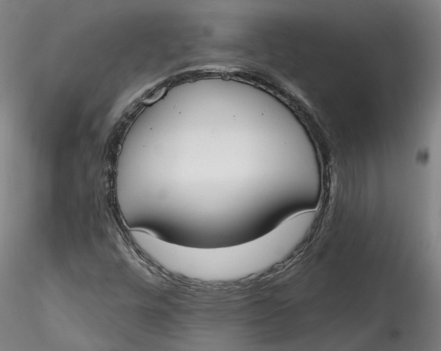 X0000115551448200911271422