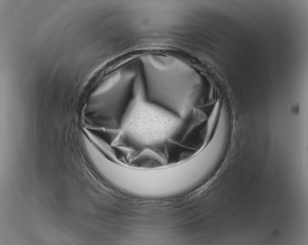 X0000115551449200911271422