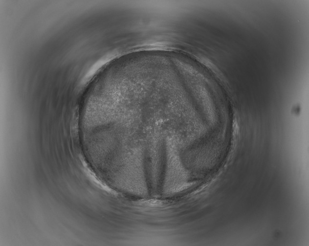 X0000115551450200911271422