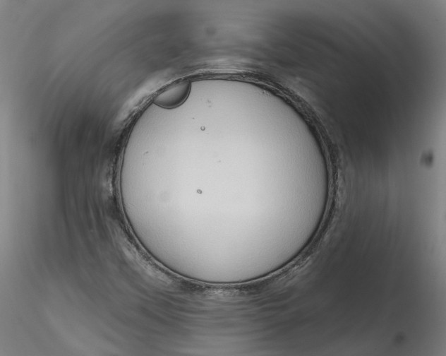 X0000115551451200911271422