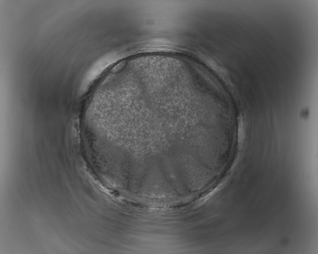 X0000115551453200911271422