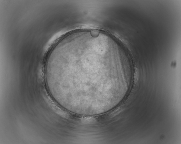 X0000115551454200911271422