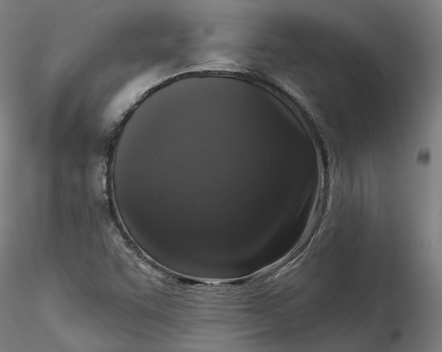 X0000115551455200911271422