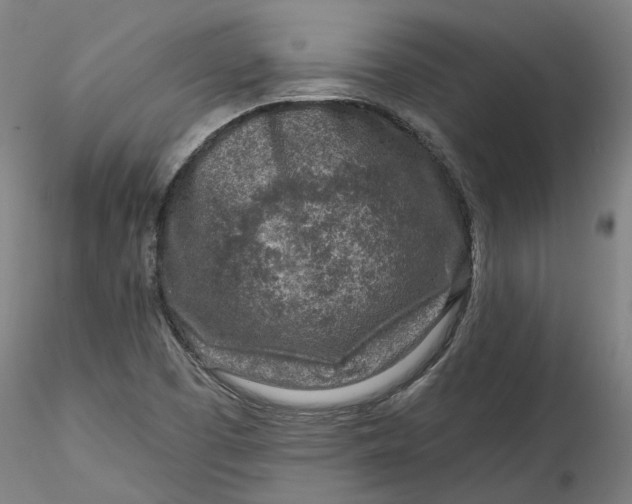 X0000115551457200911271422