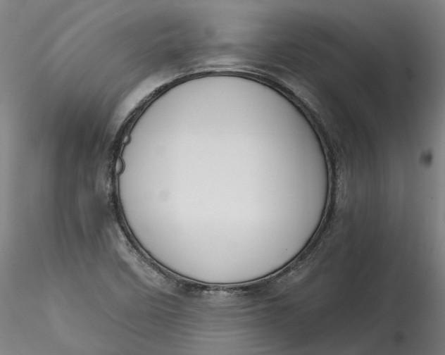 X0000115551458200911271422