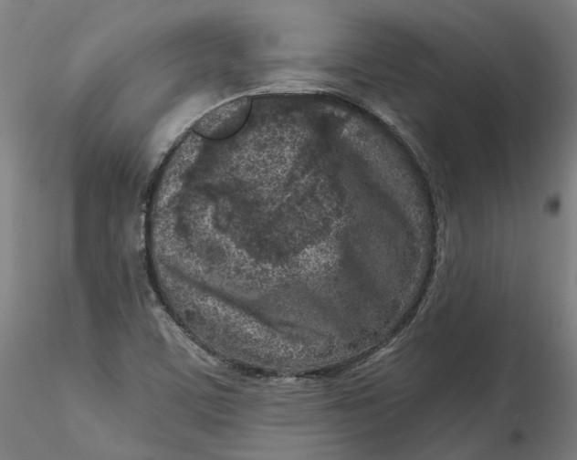 X0000115551459200911271422