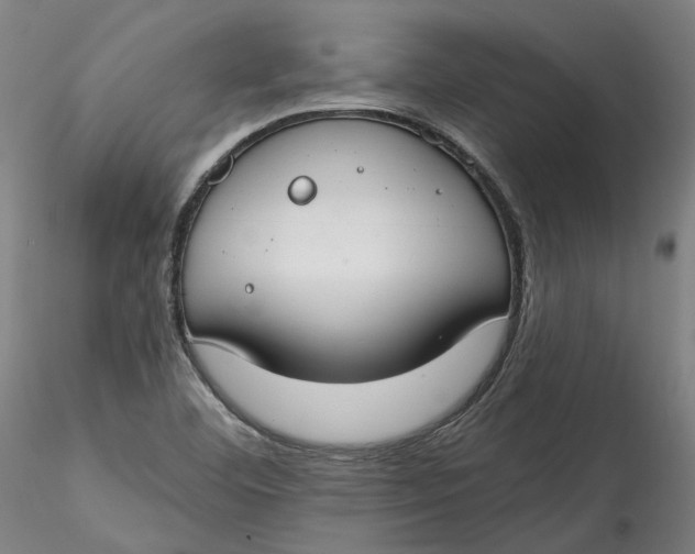 X0000115551460200911271422