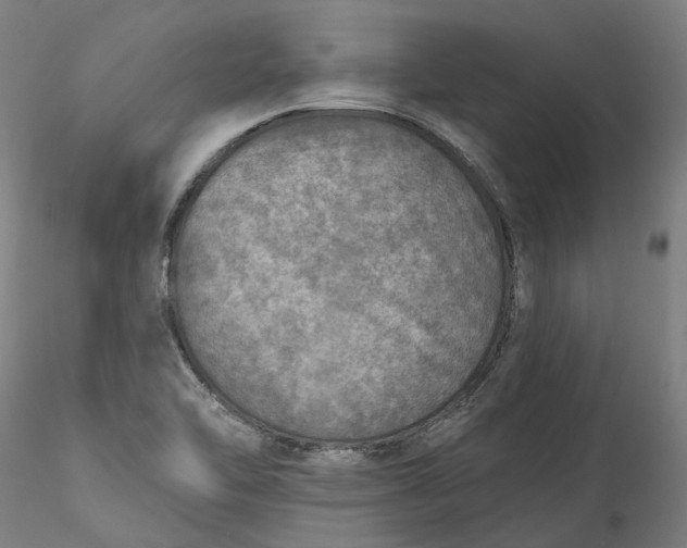 X0000115551462200911271422