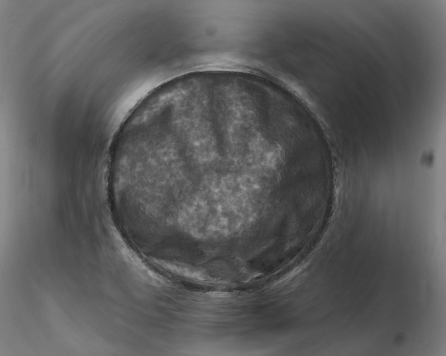 X0000115551463200911271422