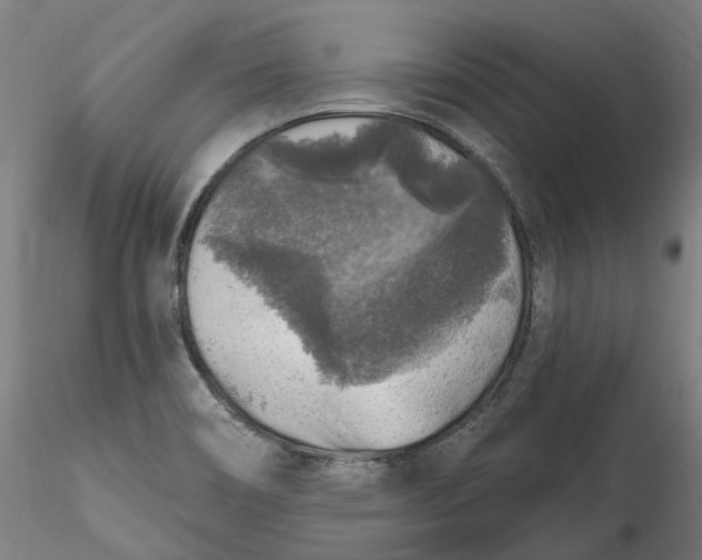 X0000115551466200911271422