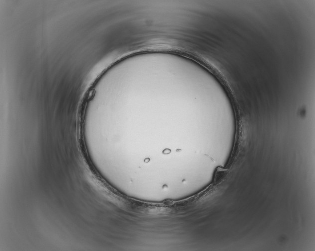 X0000115551467200911271422