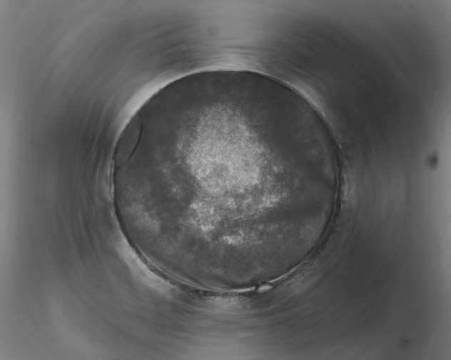 X0000115551468200911271422