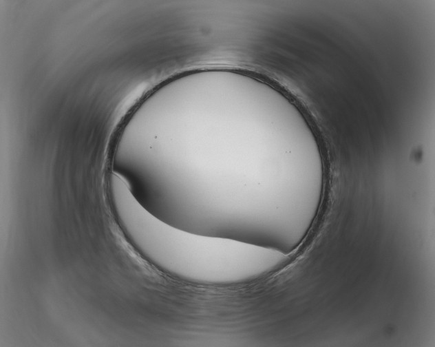 X0000115551469200911271422