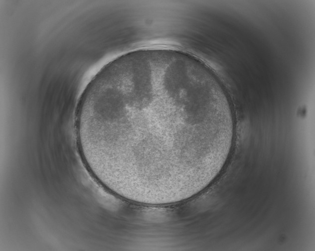 X0000115551470200911271422