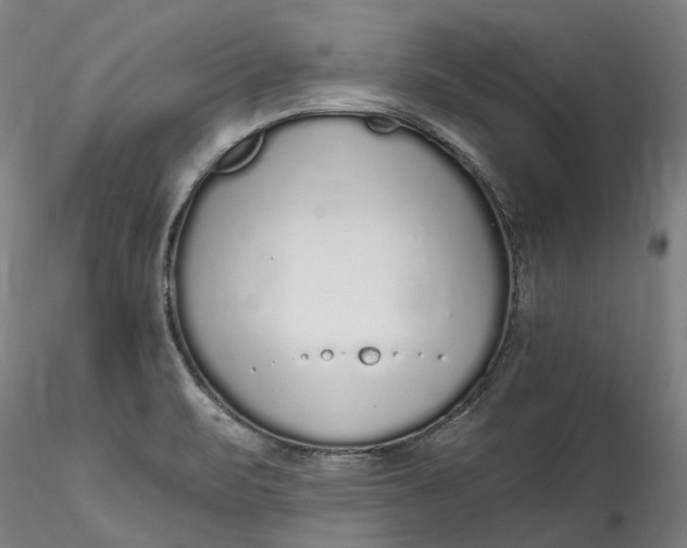 X0000115551471200911271422