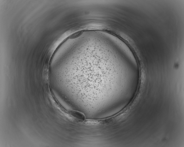 X0000115551473200911271422