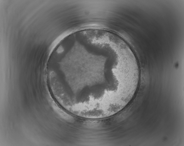 X0000115551474200911271422